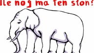Ile nóg ma TEN SŁOŃ?