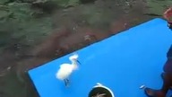 Tymczasem nad Oceanem Atlantyckim