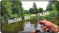 SMUŻAKI OSY I KLENIE // lipiec 2021