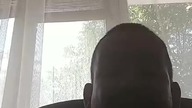 Tiger bonzo 9. 07. 2018
