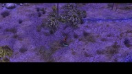 SpellForce: The Order of Dawn - FULL GAME 100% Walkthrough Gameplay Part 17 - Rift [2K]