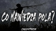 Co nawiedza pola - Creepypasta LEKTOR PL