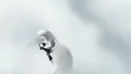 #lightfury