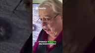 Sygnał z kosmosu Odpowiedź nadeszła