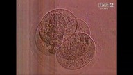 Od narodzin Mix VID-1701067311860