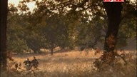 SD. JERICHO. S01E10PL. Erwtokritos