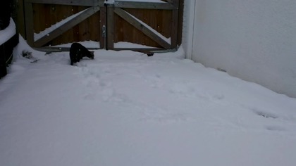 Pierwsze spotkanie ze śniegiem