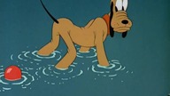 Pluto - Towarzysz zabaw psa Pluto
