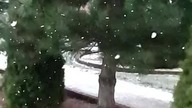 Snolflakes by Chris