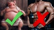 MOŻESZ BYĆ BODY POSITIVE ALE TYLKO JAK JESTEŚ GRUBA