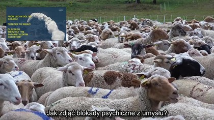 W prosty sposób udowadniamy, że Ziemia jest płaska.
Lokalne słońce porusza się od Zwrotnika Raka do Zwrotnika Koziorożca i z powrotem. Jest to ruch śrubowy.
Domowe obserwatorium astronomiczne - pokaz ruchu lokalnego słońca na Płaskiej Ziemi.

WSZYSTKO MOŻECIE SAMI SPRAWDZIĆ I WRESZCIE UZNAĆ, ŻE ZIEMIA JEST PŁASKA.
(timeanddate.com)

DOWÓD NA PŁASKĄ ZIEMIĘ:
- PRZESILENIE CZERWCOWE 21.VI,  GDAŃSK

DATA / WSCHÓD SŁOŃCA / ZACHÓD / DŁUGOŚĆ DNIA
13 04:10  21:20  17:09:52
14 04:10  21:21  17:10:43
15 04:10  21:21  17:11:27
16 04:10  21:22  17:12:03
17 04:10  21:22  17:12:33
18 04:10  21:23  17:12:55
19 04:10  21:23  17:13:11
20 04:10  21:23  17:13:19
21 04:10  21:23  17:13:20
22 04:10  21:24  17:13:14

Tak mówią globersi:
- ZIEMIA KRĄŻY WOKÓŁ SŁOŃCA PO ORBICIE PRAWIE KOŁOWEJ (99% koło) - źródło Wikipedia

Flatersi ripostują:
 i nie może przez ponad tydzień wschodzić o tej samej godzinie !!! gdyż porusza się bardzo szybko w ciągu 24 godzin
- Orbita kołowa i te same daty wschodu - to oczywista sprzeczność !

- Dlaczego Słońce zatrzymuje się właśnie w tych dniach (WSCHÓD SŁOŃCA CIĄGLE TEN SAM). 
Odpowiedź: gdyż wtedy  kręci się dokładnie nad Zwrotnikiem Raka i po 21.V rusza z powrotem w kierunku Zwrotnika Koziorożca.

- W ten sposób udowodniliśmy, że ZIEMIA JEST PŁASKA, gdyż ZIEMIA pędząc po orbicie kołowej, zmienia swoje położenie i słońce nie może wschodzić i zachodzić o tej samej godzinie przez kilka dni.

Ciekawe, co o tym sądzicie?
Pozdrawiam