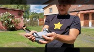 Z wizytą w hodowli Dąbrowski-Janiak - PZHGP 0369 Żagań - cały film