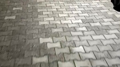 Nocny Leśny Jesienny Pies Rubik! Sharp i Sarmata w nocy! Q&A! Spokojne chill dyskusje w nocy!