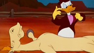 Kaczor Donald - Kaczor frajer (1950)