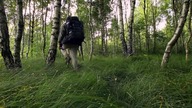 Wilcze góry HD PL film dokumentalny (przyroda)