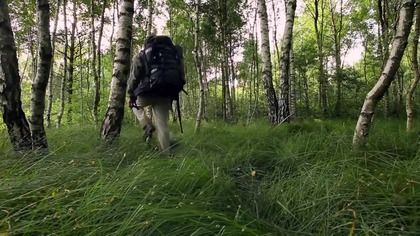 Wilcze góry HD PL film dokumentalny (przyroda)