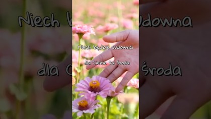 Cudowna środa dla Ciebie  #short #milegodnia #dziendobry #środa #życzenia #dc #pozdrowienia
