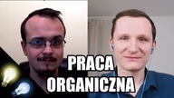 Praca organiczna zamiast polityki