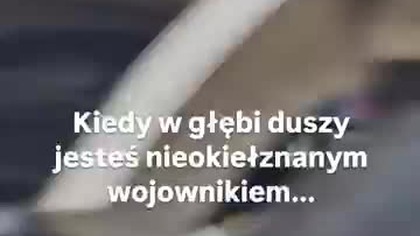 Niokiełznani wojownicy...