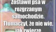 Zostawił psa w rozgrzanym samochodzie.  Tłumaczył, że nie wie, jak zwierzę znalaz...