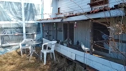 Pracę wiosenne ruszyły pełną parą, są jajka i pierwsze młode