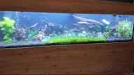 Przebudowa 1200L akwarium.