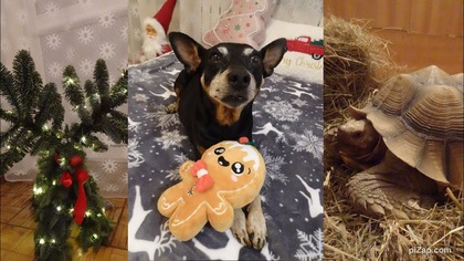 Vlogmas 9 unboxing świątecznych charmsów z aliexpress