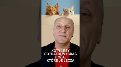 Zaskakujące fakty o zwierzętach domowych! Czy Ludzie Też Tak Potrafią?