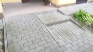 Nowa winda Orona - Bitwy pod studziankami 10 kl. 2, Tarnów [28. 08. 2025]