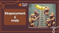 Eksperyment 5 małp