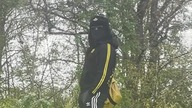 How Slavs go camping