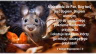Audycja Wyzwolony - Bret Monday