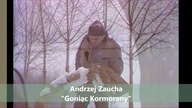 Andrzej Zaucha - Goniąc kormorany (unikat!)