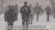 WZMOCNIJ odporność przed wirusami i chorobami - Tyko naturalne składniki!