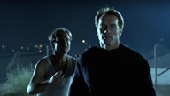 Prawdziwe kłamstwa (True Lies1994) Lektor Pl 1080p.