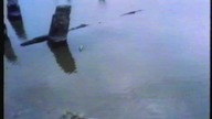 Pocztówka, film ekologiczny 1990