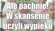 Ale pachnie! W skansenie uczyli wypieku chleba