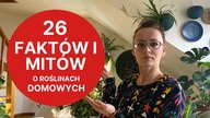 Fakty i mity o roślinach domowych  Vlog