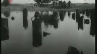 Ranny w lesie (1963)