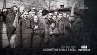 80.  rocznica wyzwolenia obozu Auschwitz-Birkenau - spot wybranych transmisji/film&oacute;w/program&