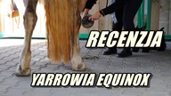Miesięczny test suplementów Yarrowia Equinox!