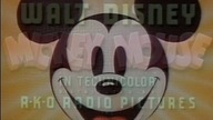Kaczor Donald Przedstawia - Odcinek 37/38