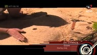 Big Day - W dzień gorącego lata(1997)