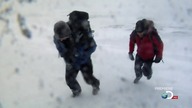 Man. vs. Wild. s07e01. Men. vs. Wild. with. Jake. Gyllenhaal. 720p