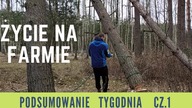 Podsumowanie tygodnia. Wycinka drzew