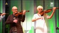 GOLEC UORKIESTRA - Drzewa (Live Wadowice)