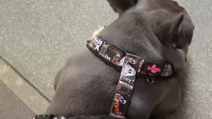 W kolejce i do domu.