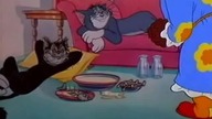 Tom i Jerry 38 (Dubbing PL)
