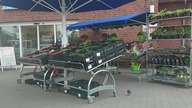 Chciały ukraść TRUSKAWKI