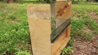 AK-47 pod wodą
